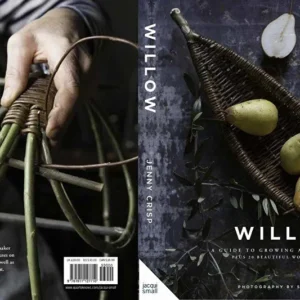 Willow by Jenny Crisp